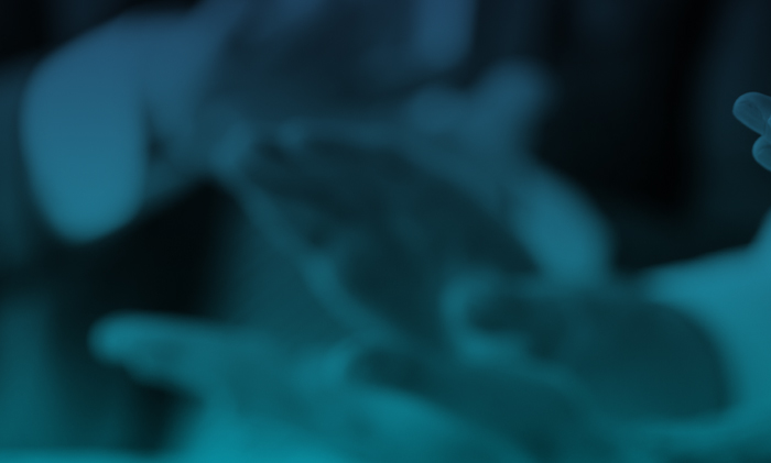 Number One Sage Intacct Partner in the UK