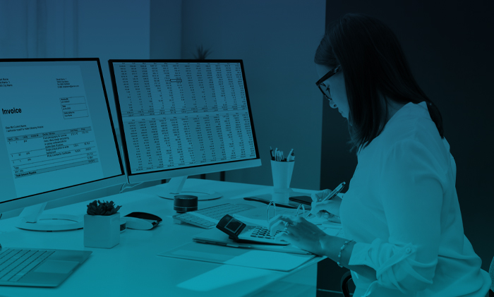 Profit to Purpose the Evolution of the Finance Function